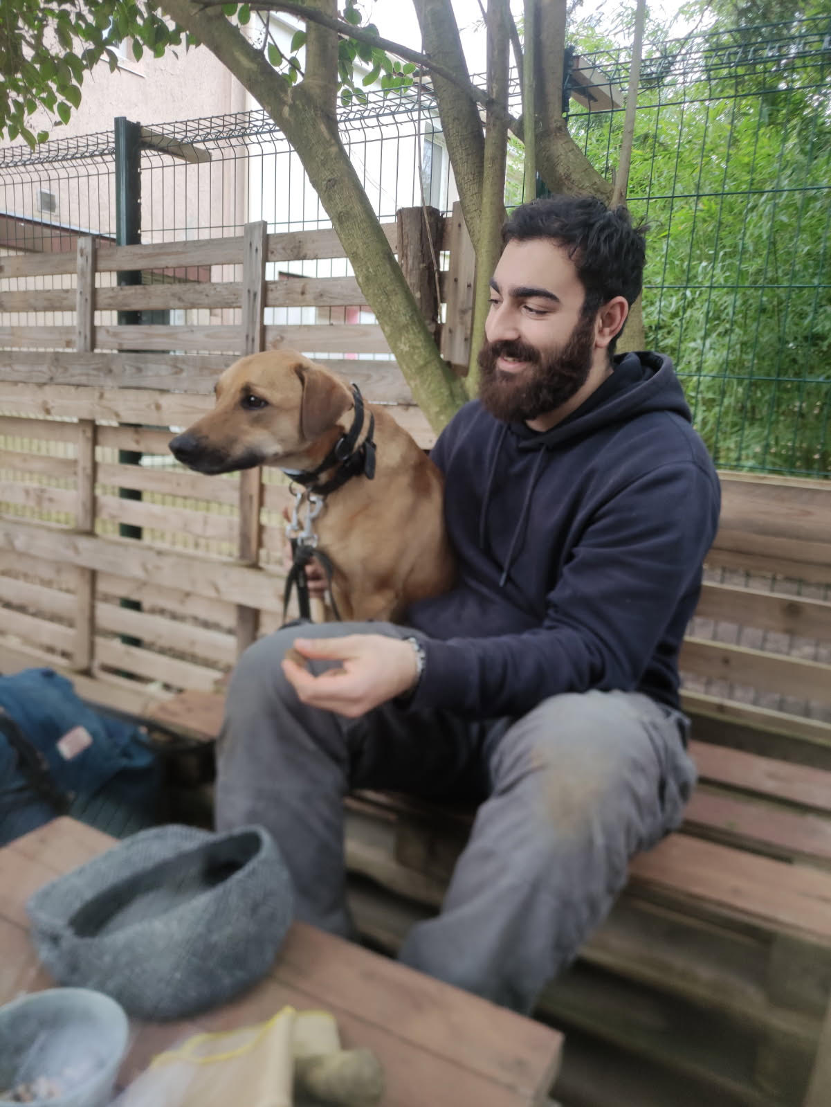 Thomas-SoliVet-Pawsitive-job-1
